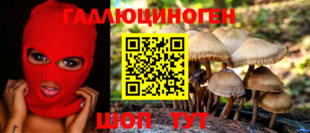 Рославль  Галлюциногенные грибы Psilocybe  Вход с VPN 