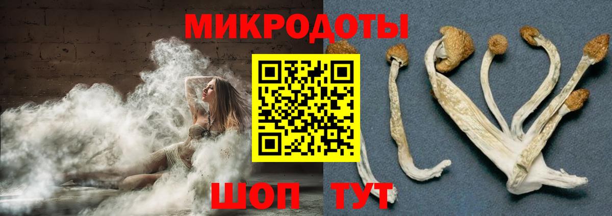 Псилоцибиновые грибы MAGIC MUSHROOMS Рославль